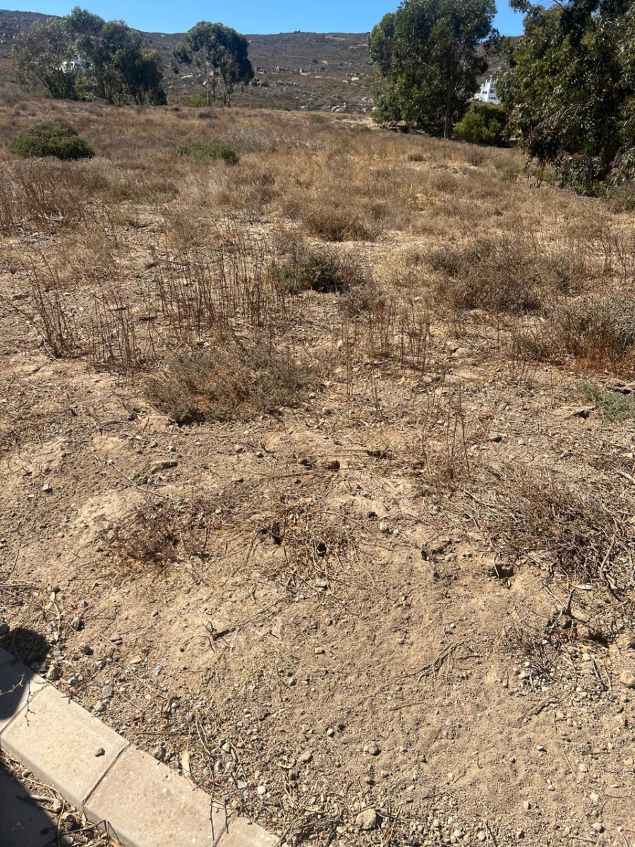 Commercial Property for Sale in St Helena Views Western Cape